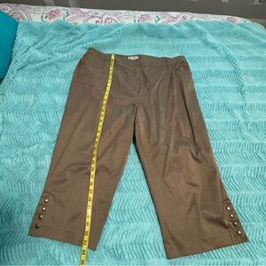 Dressbarn Tan Capri Pants 22